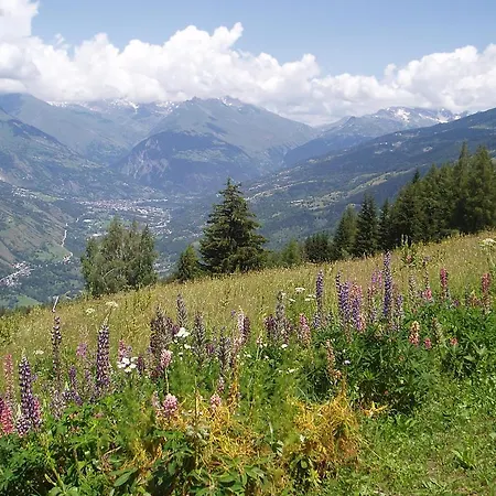 Chalet Les Gentianes